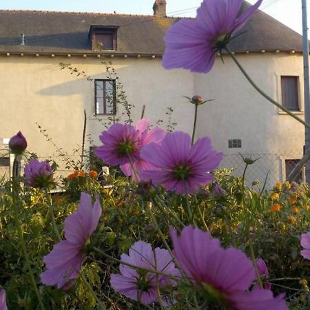 Manoir De La Guignardiere : The Ou Cafe ? Chavagne Exteriör bild